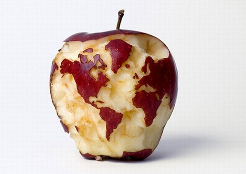 world map carved on apple