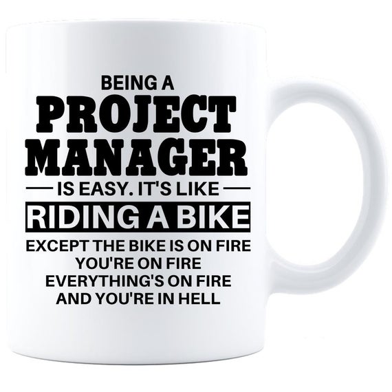 project managers