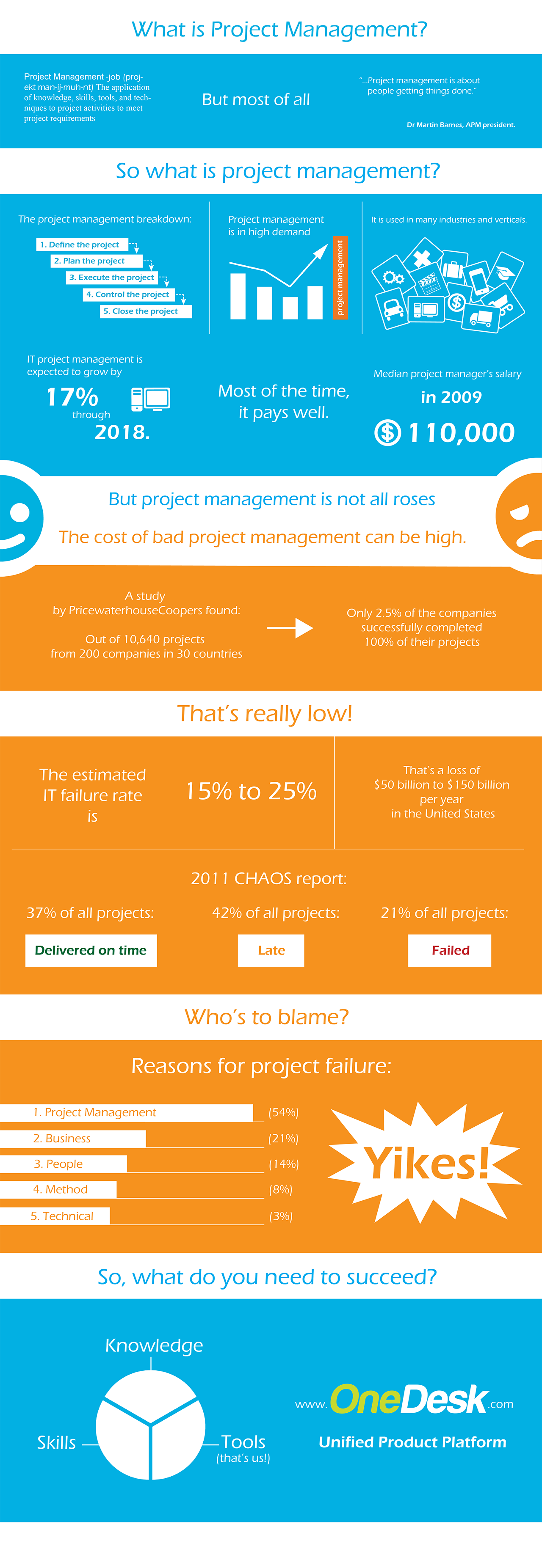 Project management infographic