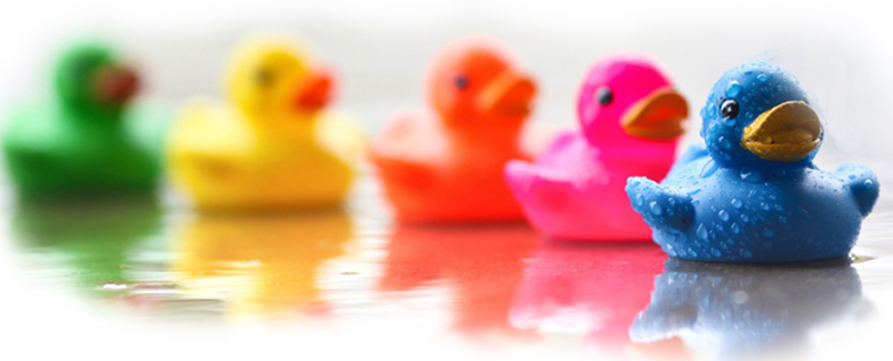 colored rubber ducks